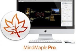 MindMaple Pro v1.65.1.183 Crack For Mac Free Download 2020