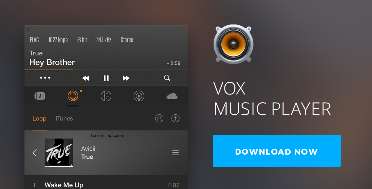 VOX Music Player Crack