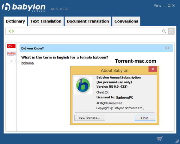 Babylon Pro NG Crack Mac Download