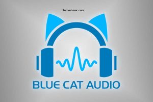 Blue Cat PatchWork Crack Mac Featured